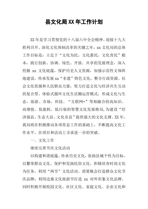 县文化局XX年工作计划【DOC可编辑范文】