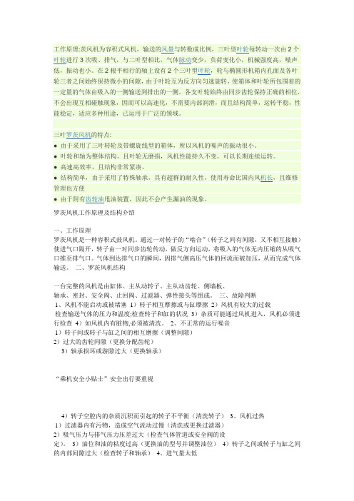 二叶罗茨风机