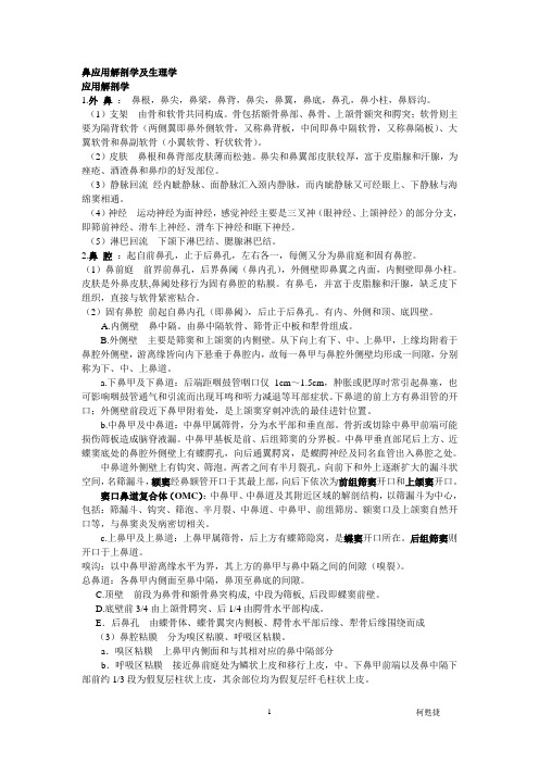 鼻应用解剖学及生理学