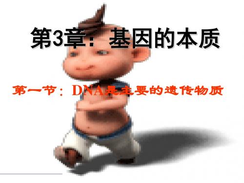 DNA是主要的遗传物质(2013)