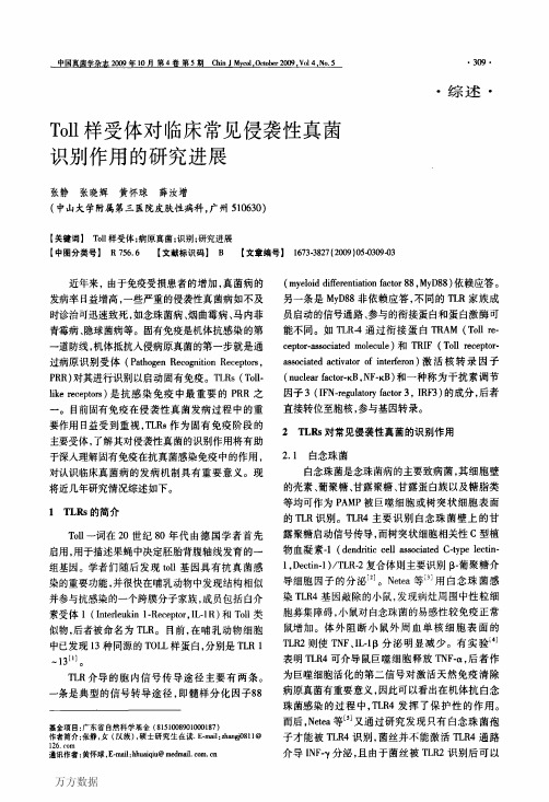 Toll样受体对临床常见侵袭性真菌识别作用的研究进展