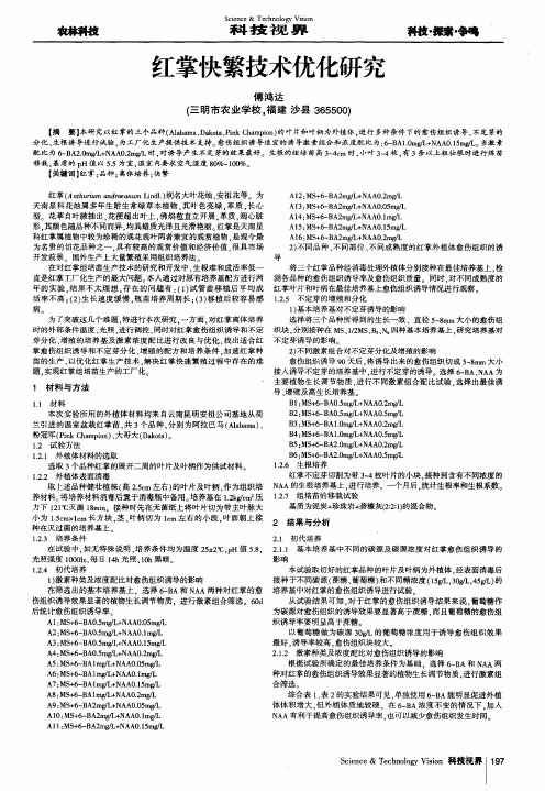红掌快繁技术优化研究