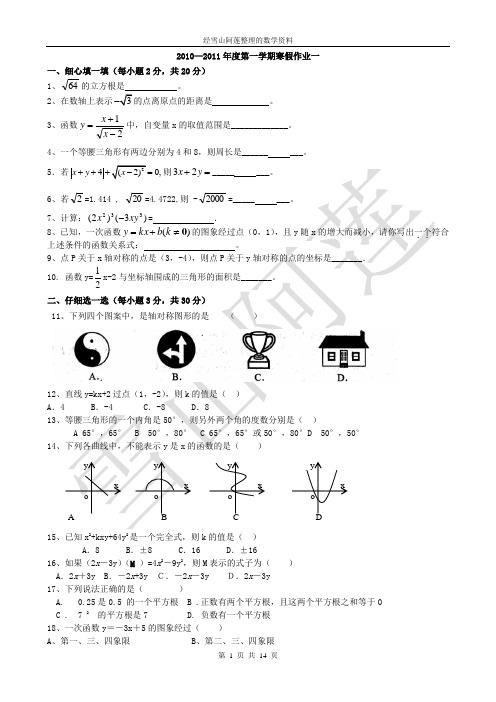 2010—2011年度第一学期八年级数学寒假作业