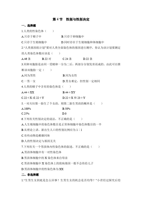 北师大版生物八年级上册 《性别和性别决定》同步练习1
