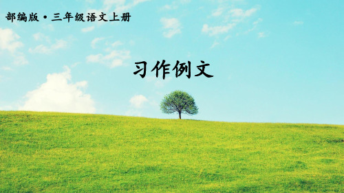 新部编人教版三年级上语文习作例文习作我们眼中的缤纷世界优质课教学课件