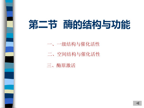 酶2