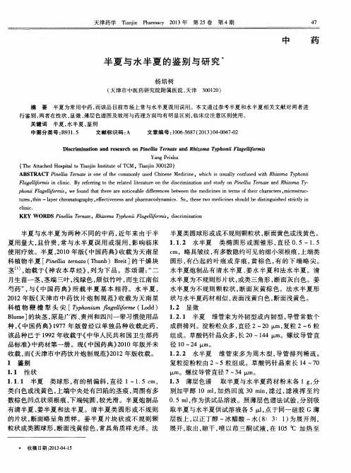 半夏与水半夏的鉴别与研究