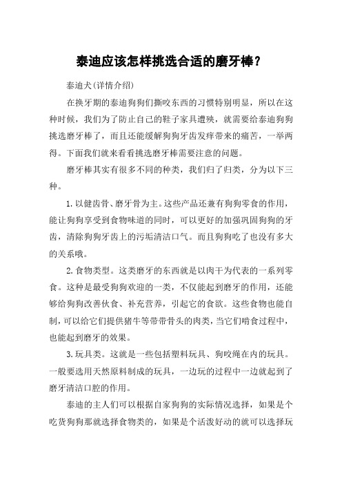 泰迪应该怎样挑选合适的磨牙棒？