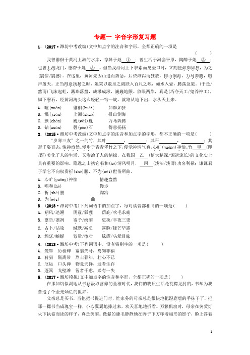 (潍坊专版)2018年中考语文复习 专项练习(打包15套)