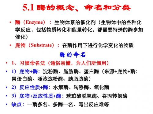酶化学总结