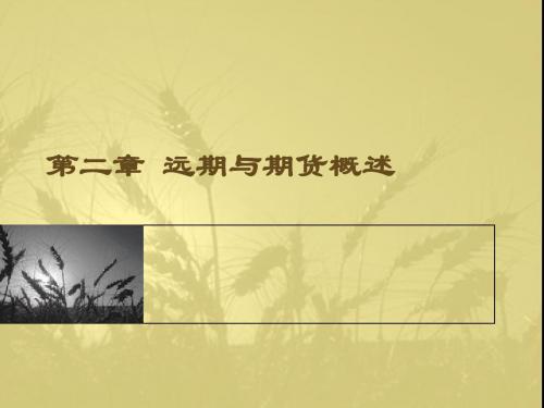 金融工程-chapter2共46页
