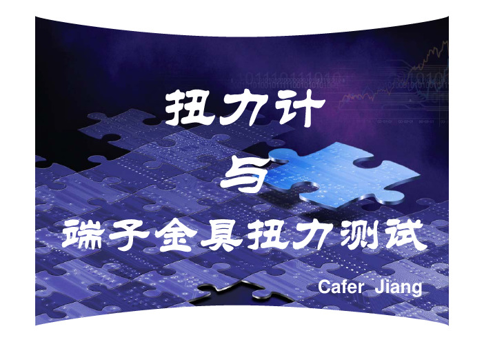 扭力计