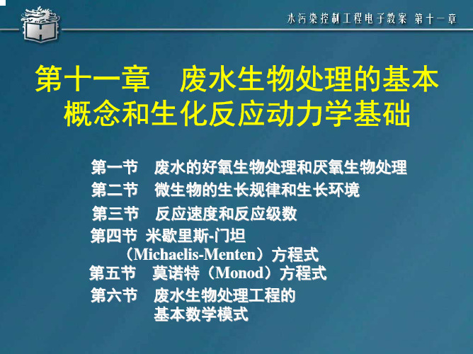 11 污水处理生化反应动力学