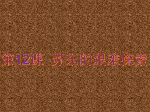 第12课   苏东的艰难探索