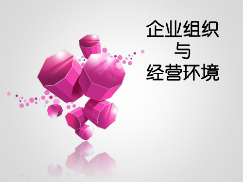 企业组织与经营环境