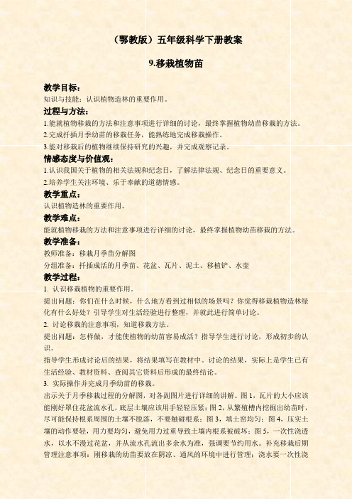鄂教版小学科学五年级下册《9.移载植物苗》word教案(3)