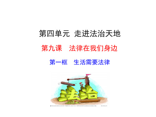 人教版七年级《道德与法治》下册9.1《生活需要法律》课件(共39张PPT)