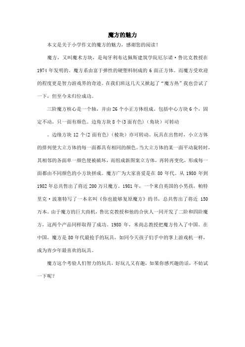 魔方的魅力_小学作文