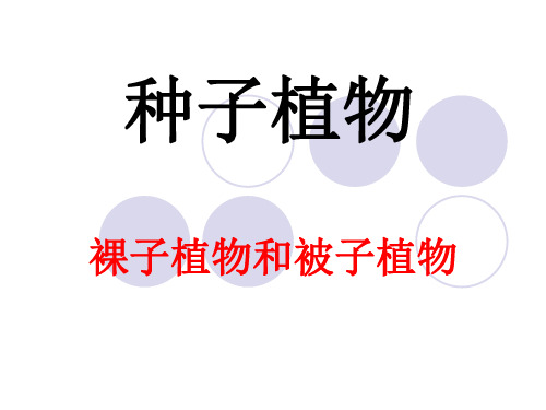 初中生物  种子植物16 人教版精品课件