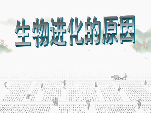 人教版生物八年级下  生物进化的原因(共40张PPT)