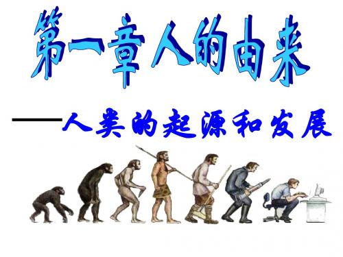生物：4.1.1《人类的起源和发展》课件2(人教版七年级下)(教学课件2019)