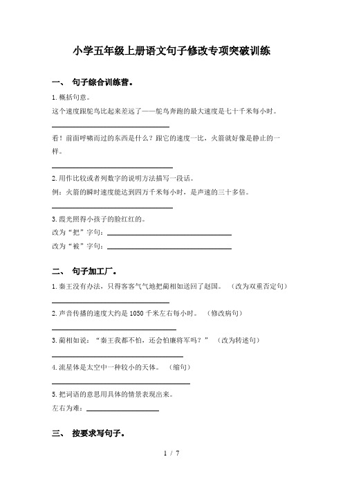 小学五年级上册语文句子修改专项突破训练