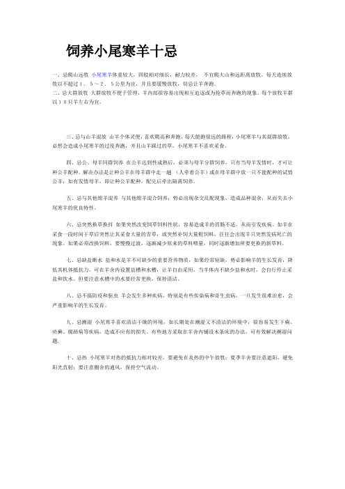 饲养小尾寒羊十忌