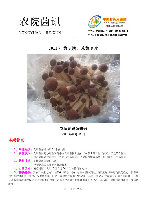 农院菌讯第八期