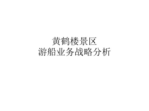 游船项目报告