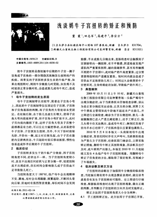 浅谈奶牛子宫扭转的矫正和预防