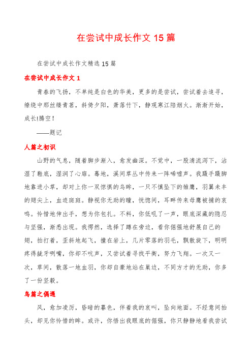 在尝试中成长作文15篇