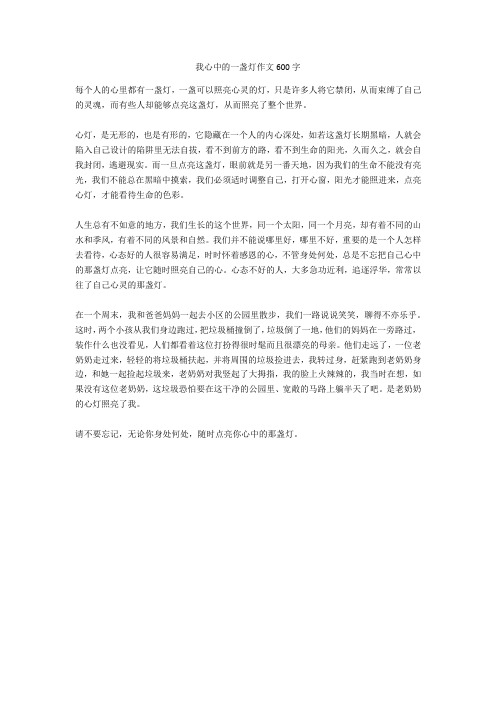 我心中的一盏灯作文600字_6完美版
