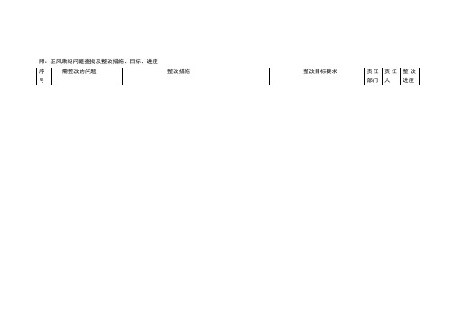 正风肃纪问题查找及整改措施、目标、进度汇报一