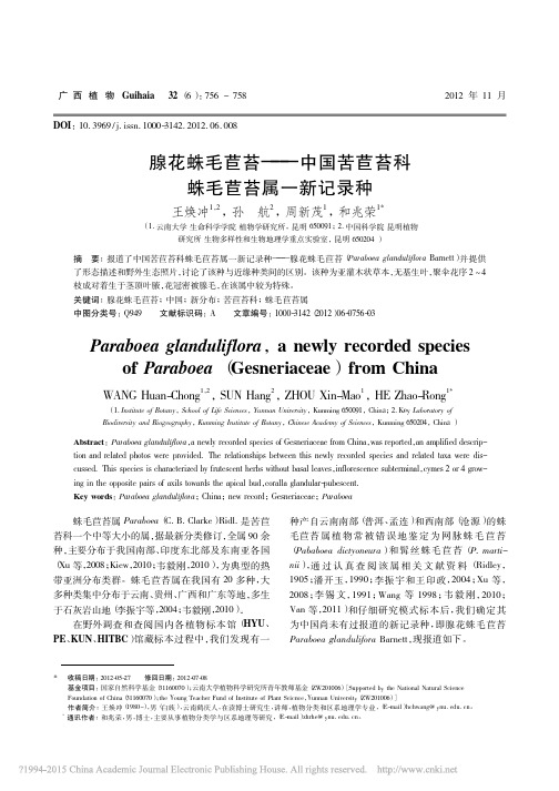 腺花蛛毛苣苔_中国苦苣苔科蛛毛苣苔属一新记录种_王焕冲