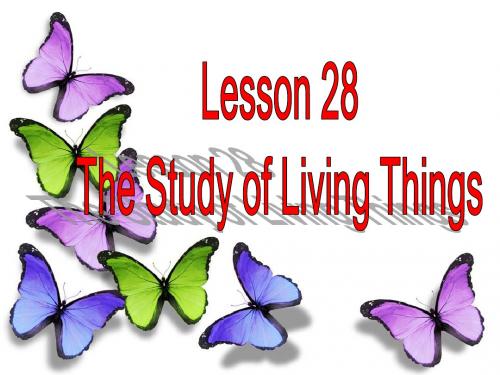 冀教版九年级英语  Unit5 Lesson 28The Study of Living Thing