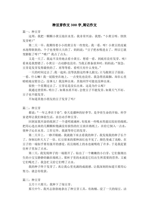 种豆芽作文300字_周记作文