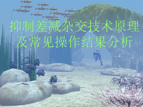 抑制差减杂交技术原理及常见操作结果分析