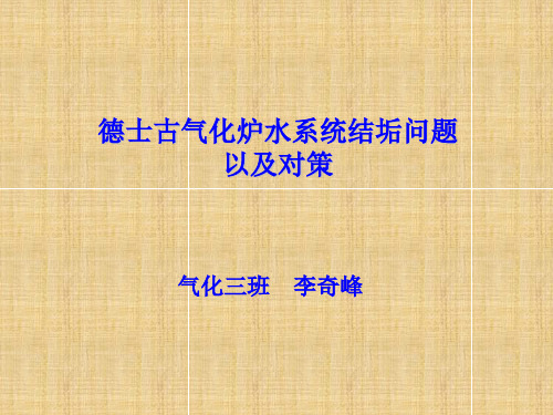 德士古气化炉水系统结垢问题以及对策(李奇峰)