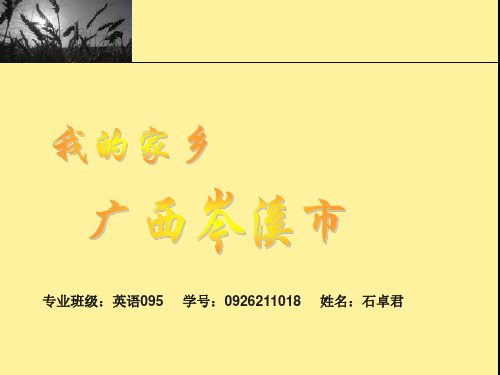 我的家乡——岑溪专题PPT