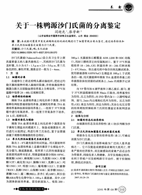 关于一株鸭源沙门氏菌的分离鉴定