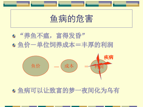 常见鱼病介绍