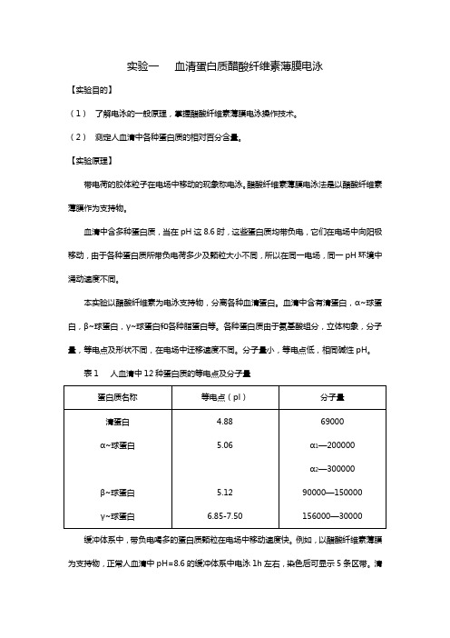 实验一   血清蛋白质醋酸纤维素薄膜电泳