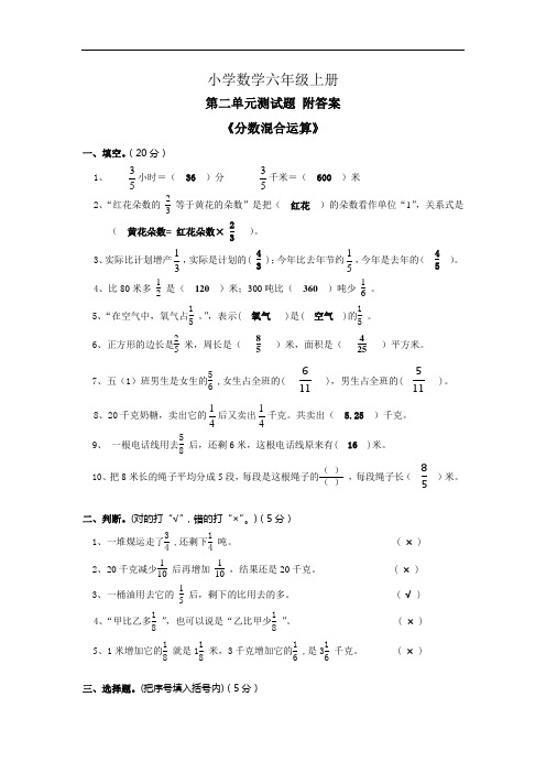 小学数学新六年级上册第二单元测试题 附答案