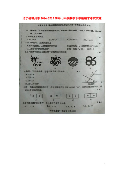 辽宁省锦州市七年级数学下学期期末考试试题(扫描版) 