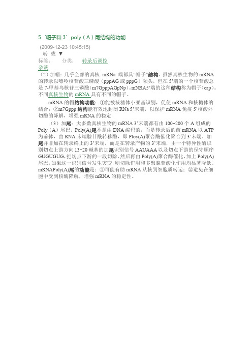 5帽子和3poly(A)尾结构的功能
