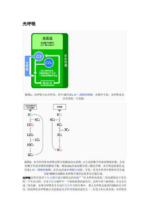 光呼吸
