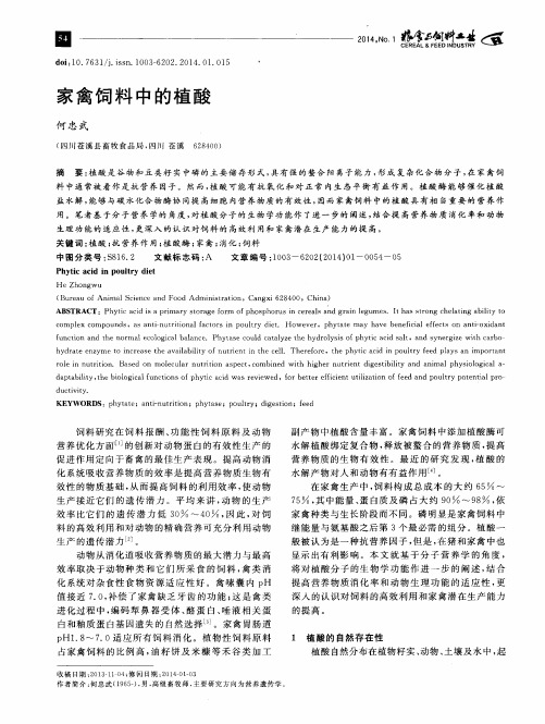 家禽饲料中的植酸