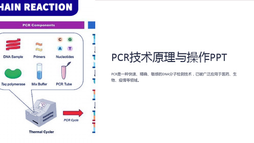 PCR技术原理与操作PPT