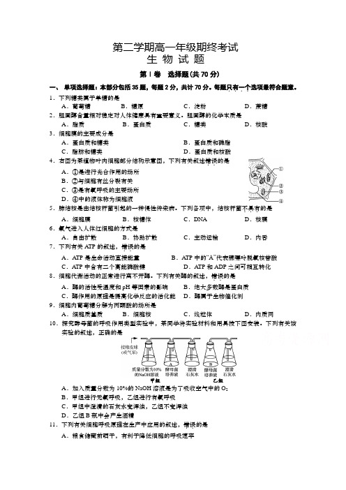 江苏省盐城市高一下册第二学期期末考试生物含答案【精选】.doc