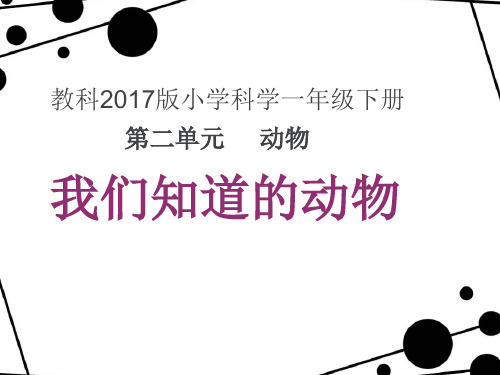 一年级下册科学课件PPT：《我们知道的动物》 教科版
